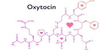 Molécula de la oxitocina.