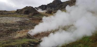 Los pastizales subárticos experimentan un calentamiento geotérmico natural en Islandia