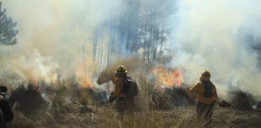 Incendios forestales CDMX