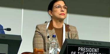 Marcela Guerra Castillo, presidenta de la Mesa Directiva de la Cámara de Diputados, aseguró que México garantiza las acciones afirmativas.