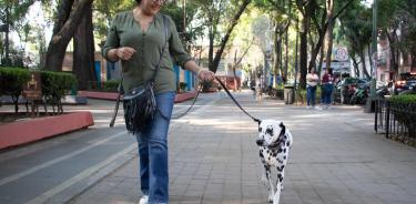 Mascotas y sus paseadores en la CDMX deberán ser registrados, para su cuidado y seguridad.
