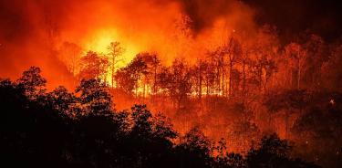 En lo que va del año se han registrado 1,091 incendios forestales en el país, afectando una superficie de 37 mil 409 hectáreas en 26 entidades