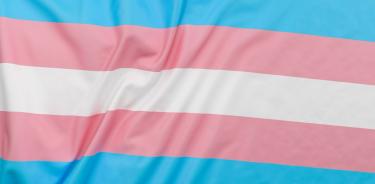 Integrantes de la comunidad Trans, advierten que es necesario derribar estigmas y discriminación, para que accedan a servicios de salud