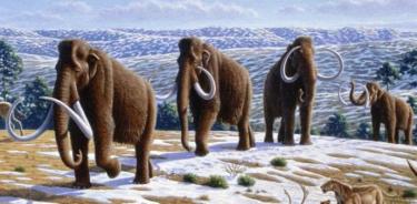 Visión artística del mamut lanudo (Mammuthus primigenius) en un paisaje del Pleistoceno tardío en el norte de España.