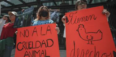 Activistas defensores de los animales protestan a las afueras del Senado de la República este jueves, en la Ciudad de México