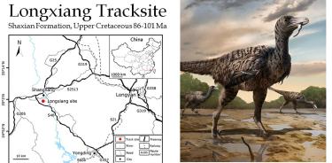 Una reconstrucción ilustrada de un gran dinosaurio raptor.