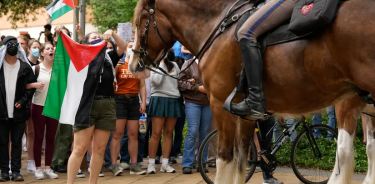 Una estudiante de la Universidad de Texas de Austin desafía un policía a caballo con la bandera palestina