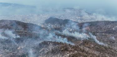 Un incendio forestal afectó el Parque 'El Veladero', en Acapulco/