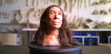 El cráneo de esta neandertal, de la que se encontró su mitad superior, apareció completamente deformado, después de haber sido aplastado poco después de morir.