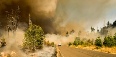 Ante el incremento en los incendios forestales, es necesario adoptar medidas preventivas para proteger la salud y evitar complicaciones serias