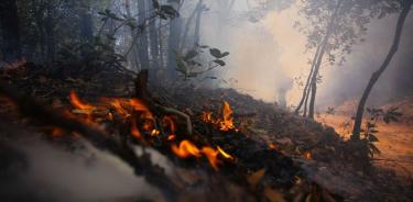 Incendios forestales no dan tregua en Acapulco