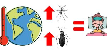 Efecto del cambio climático en las enfermedades.