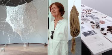 Vista a la intervención de Gerda Gruber en la sala principal de El Eco, una escultura de la serie Nido, 2022, y una mesa con dibujos, fotografías, semillas y bitácoras con anotaciones provenientes del taller de la artista.