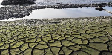 La sequía en tierras de Galicia, una clara huella de la crisis hídrica que enfrenta Europa y el mundo entero
