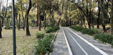 El Jardín Ramón López Velarde está ubicado en la colonia Roma, en la alcaldía Cuauhtémoc.