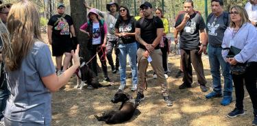 Paseadores de Perros en CDMX