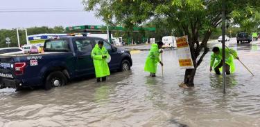 Cuadrillas se encuentran realizando la limpieza de pozos y alcantarillas, en el retiro de árboles y la poda de otros/