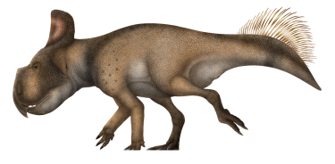 Protoceratops.