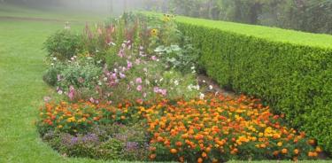 Jardín formal con césped y camellones herbáceos.