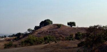 El sitio también conocido como Tepalcayotl se encuentra abandonado, saqueado, invadido y es utilizado como tiradero de basura.