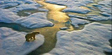 el deshielo del permafrost