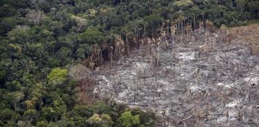 Cambio climático y la pérdida de biodiversidad.