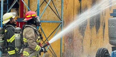 En el lugar trabajaron 50 bomberos para controlar el siniestro/Bomberos