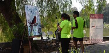 Tiene el Bosque de San Juan de Aragón primer “Guía rápida de aves”