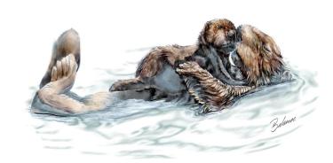 Ilustración de una cría de nutria marina (Enhydra lutris) junto con su madre flotando en el agua.