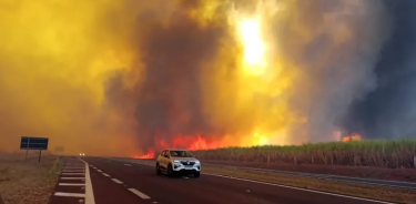 Incendio presuntamente intencionado en el estado de Sao Paulo