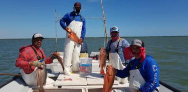 Pescadores de Navachiste.