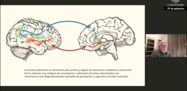 Roberto Zatorre explicó cómo dos sistemas cerebrales se conectan para que el ser humano sienta placer por escuchar música.