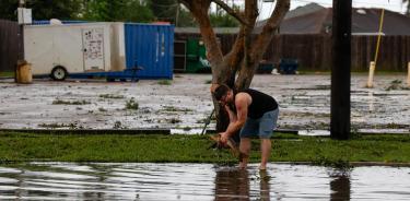 El desborde de algunos canales en Nueva Orleans dejó miles de peces a merced de los vecinos