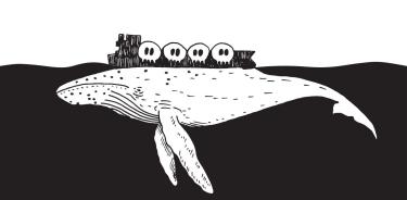 Las organizaciones llaman a la sociedad civil organizada a sumarse a la campaña en defensa de las ballenas y del patrimonio biocultural mexicano.