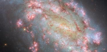 Esta imagen del telescopio espacial Hubble de la NASA/ESA muestra la galaxia NGC 1559.