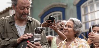 Fotograma de 'Mi amigo el pingüino'.