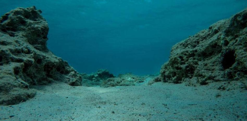Espinas fósiles revelan el pasado de las profundidades marinas