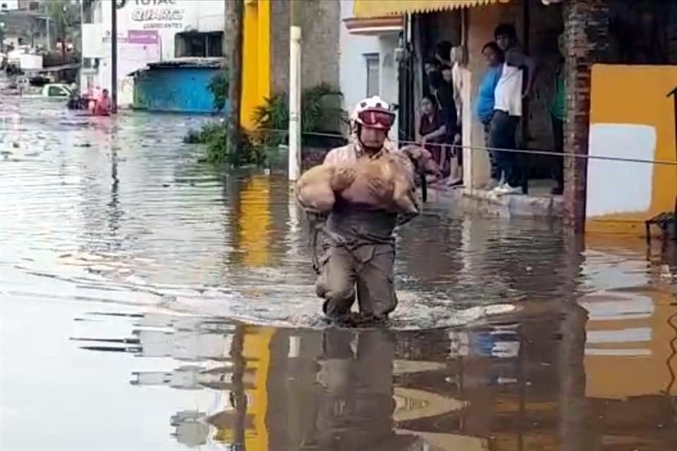 Se Desborda Arroyo “el Seco” En Zapopan Varias Colonias Inundadas 